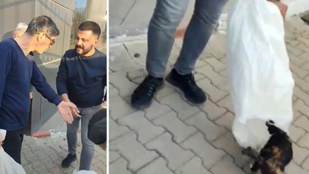 Bilecikte kedileri çuvalla toplayan çalışanlara soruşturma
