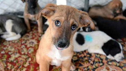 7/24 CANLI YAYIN YAPIN