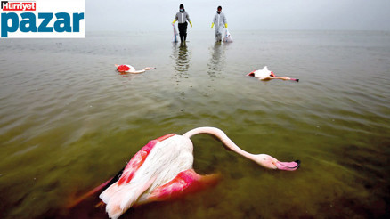 Dünyanın hali fotoğraf karelerinde
