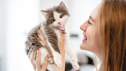 Evcil hayvanlara mikroçipte merak edilenler