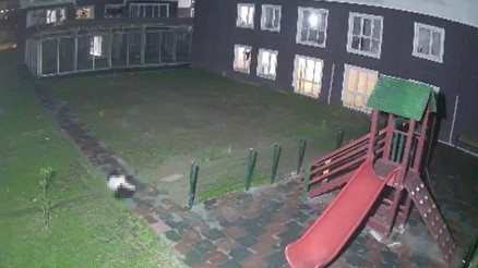 Esenyurtta İranlı kadının sır ölümü 10. kattan düştü