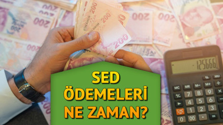 SED ödemeleri ne zaman, Aralık ayı ödemesi hangi gün yatacak, hesaplara yattı mı Sosyal ve Ekonomik Destek ödeme takvimi belli oldu İşte SED yardımı sorgulama ekranı