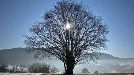 En uzun gece ne zaman 2022, hangi gün 21 Aralık kış gündönümü nedir, özellikleri nelerdir