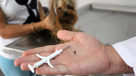 Mikroçip tükendi uzatma talebi geldi