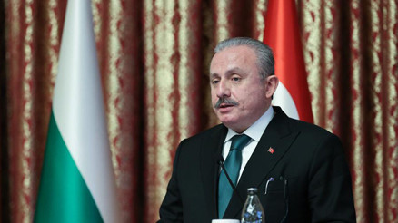 TBMM Başkanı Şentop: Avrupa ülkelerinin katılımıyla göç toplantısı düzenlenecek TBMM Başkanı Şentop: Avrupa ülkelerinin katılımıyla göç toplantısı düzenlenecek