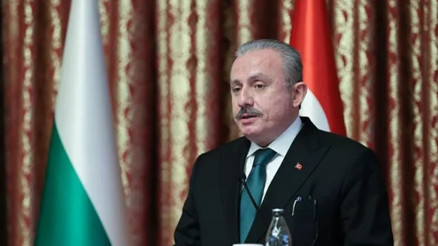 TBMM Başkanı Şentop, Bulgaristan Meclis Başkanı Raşidov ile açıklamalarda bulundu TBMM Başkanı Şentop, Bulgaristan Meclis Başkanı Raşidov ile açıklamalarda bulundu