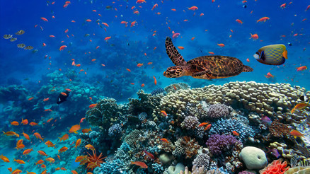 Doğayı korumak için tarihi anlaşma