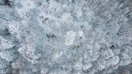 Bursada kartpostallık görüntüler