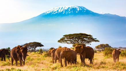 Sönmüş stratovolkan