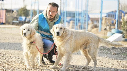 Dost patilere ‘çip’ terki Dost patilere ‘çip’ terki