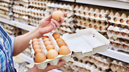 Yumurta kabına sığmıyor Yumurta kabına sığmıyor