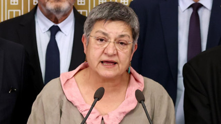 Şebnem Korur Fincancının cumhurbaşkanına hakaret cezasına onama