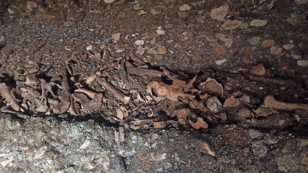 Adıyamanda Roma döneminden oda mezarları ve insan kemikleri bulundu