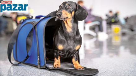 Dostlarımızla yolculuk zor ama imkânsız değil Dostlarımızla yolculuk zor ama imkânsız değil