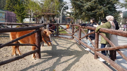 Doğal yaşam parkı’na davet var