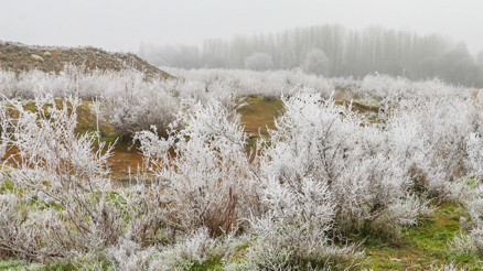 Dicle Vadisi, kırağı ile birlikte beyaza büründü