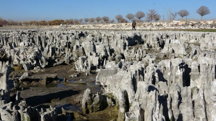 Van Gölü kıyısında en büyük mikrobiyalit oluşumuna rastlandı