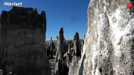 Van Gölü kıyısında en büyük mikrobiyalit oluşumuna rastlandı
