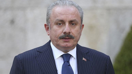 TBMM Başkanı Şentop’tan Prens Harry’nin kitabında yer alan ifadelere tepki