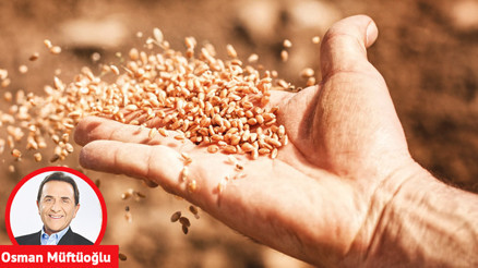 Topraktan tohuma mikroplastik tehdidi