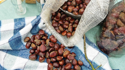 Böreği, pidesi, bir de kestanesinin peşinden Aydın Böreği, pidesi, bir de kestanesinin peşinden Aydın