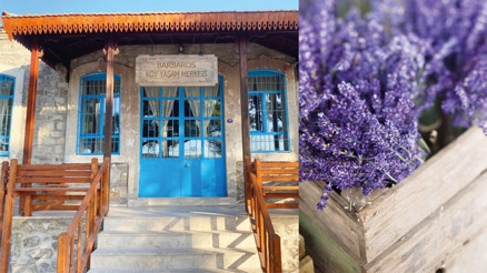 Köy Yaşam Merkezi’nin markası ‘Lavantadan’ Köy Yaşam Merkezi’nin markası ‘Lavantadan’