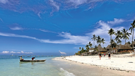 Hakuna matata... Her şey yolunda