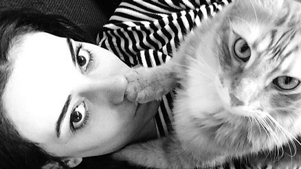 Kedili evde mum değil abajur bile yakılmaz