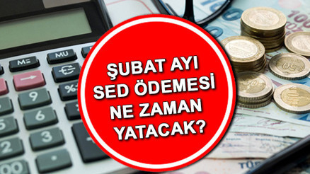 SED ÖDEMELERİ YATTI MI, bugün mü yatırılacak 2023 Şubat ayı SED yardımı ne kadar oldu İşte ödeme sorgulama ekranı