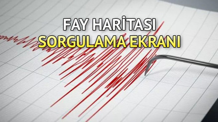 TÜRKİYE DEPREM RİSK HARİTASI 2023: Evimin altından fay hattı geçiyor mu İşte E-Devlet AFAD ve MTA fay hattı sorgulama ekranı