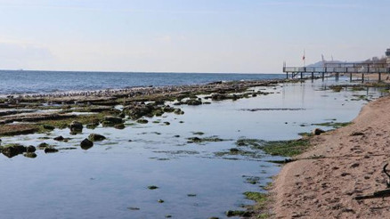 Avcılarda ve Tekirdağda deniz çekildi Kandilliden açıklama: Meteorolojik bir olay