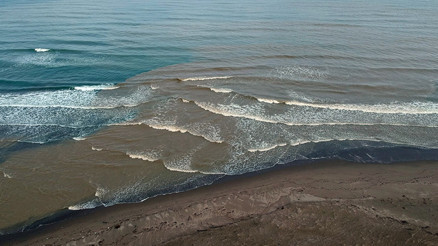 Karadeniz çamura büründü Şaşırtan görüntü