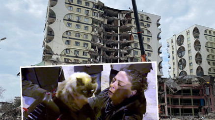 Diyarbakır’da yıkımı durdurulan Galeria Sitesi’ndeki kedilerden biri daha kurtarıldı