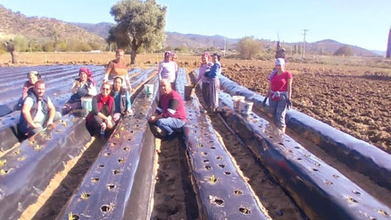 3 kadın, 3 başarı hikayesi 3 kadın, 3 başarı hikayesi