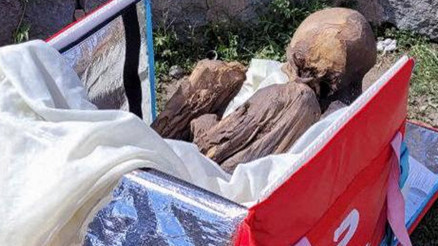 Peruda kuryenin yanındaki kutuda mumya bulundu