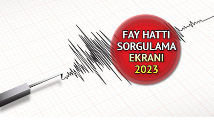 MTA DİRİ FAY HATTI HARİTASI EKRANI 2023: MTA diri fay hattı sogulanır Hangi iller diri fay hattı üzerinde bulunuyor İşte il il deprem risk haritası...