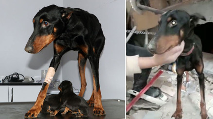 29 gün sonra gelen mucize Enkaz altında doğum yapan Şila, sağ kurtarıldı