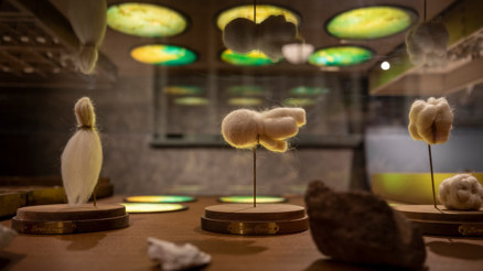 Hepimize iyi gelecek sergi: ‘İyileşme’