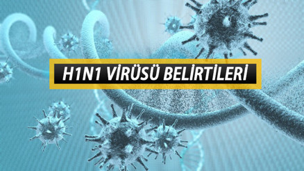 H1N1 virüsü nedir, nasıl bulaşır H1N1 virüsü belirtileri neler, nasıl tedavi edilir H1N1 virüsü nedir, nasıl bulaşır H1N1 virüsü belirtileri neler, nasıl tedavi edilir