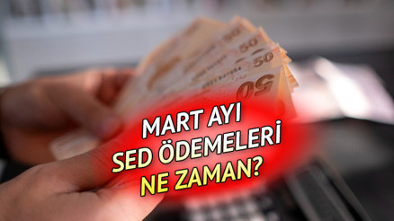 MART AYI SED YARDIMI YATTI MI Bakan Yanık açıkladı 2023 SED yardımı ödemeleri hesaplara geçti mi İşte, Sosyal Destek ve Ödeme e-Devlet sorgulama ekranı