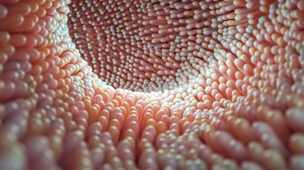 Hareketsizliğin sorumlusu bulundu... Egzersiz yapmaktan kaçınıyorsanız nedeni bağırsaklarınız olabilir