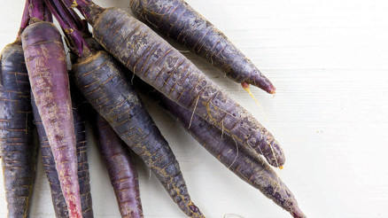 Hedef, afet bölgesinden 4 bin ton ürün Hedef, afet bölgesinden 4 bin ton ürün