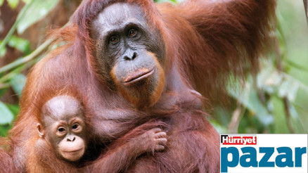 Ya hep beraber  ya hiçbirimiz...