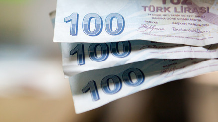 Buzağı destek ödemesi sorgulama: 2023 Mart-Nisan ayı buzağı destek ödemeleri yattı mı, nasıl sorgulanır