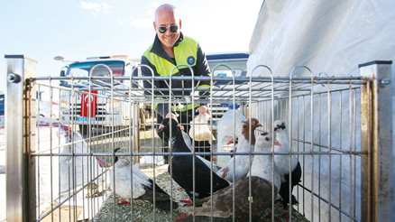 Sevda kuşun kanadında