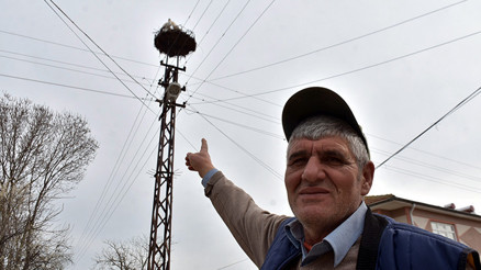 Küresel ısınma leylekleri etkiledi; çoğu erken geldi, bazıları göçmedi Küresel ısınma leylekleri etkiledi; çoğu erken geldi, bazıları göçmedi