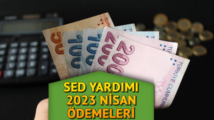 SED NİSAN AYI ÖDEMELERİ ayın kaçında hesaplara yatacak SED yardımı ödemeleri yattı mı, ne zaman yatacak İşte sorgulama ekranı