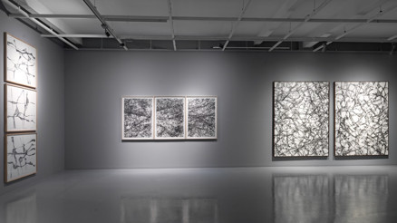 ‘Tüketerek özgür ve mutlu olunamayacağı gerçeği çok açık’