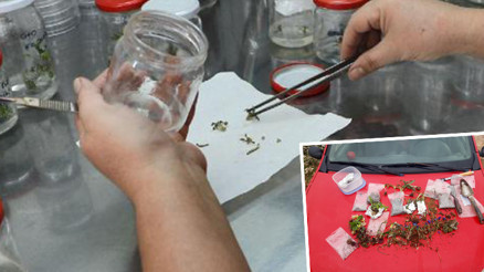 21 ülkeden 156 kişiye biyokaçakçılıktan 5,6 milyon TL para cezası