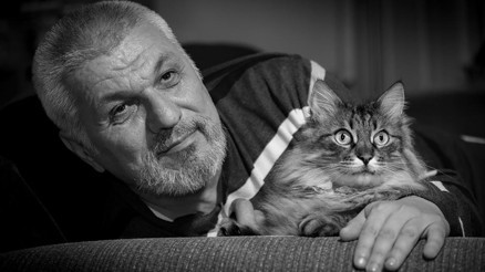 ‘Ve cümle yitikler’